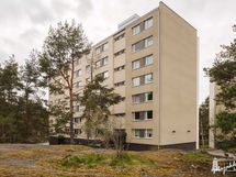 Koti metsän laidalla