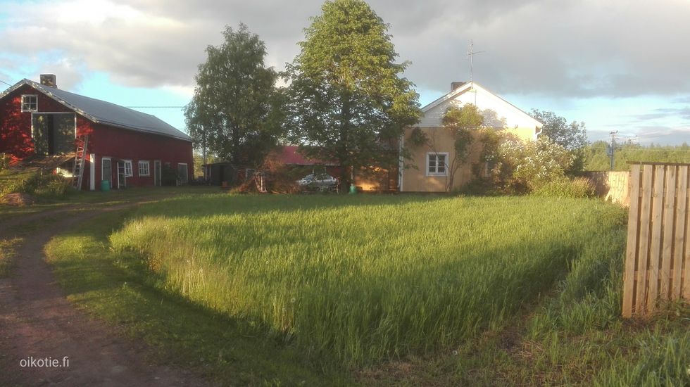 Kohdekuva
