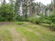 kuvaa loppukesästä