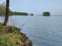 Kajaani, Laakajärvi, Metsäkukantie