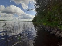 Ilomantsi, Hattujärvi, Kurvisenlahti