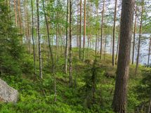 Varkaus, Miehalanjärvi, Sopalanniementie