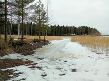 Saimaan ranta