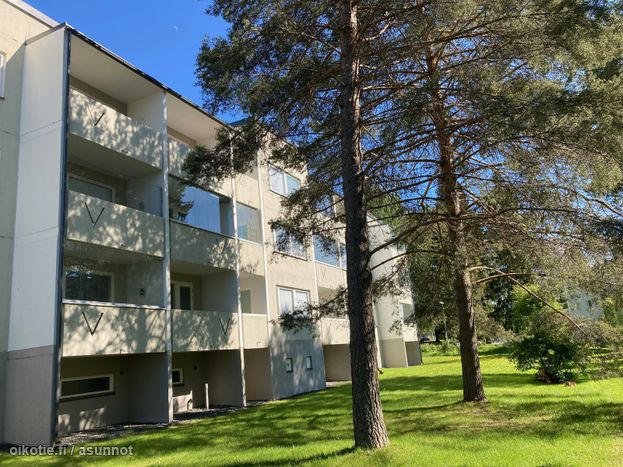 Asuntoilmoituksen kuva