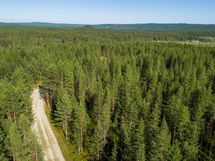 Pudasjärvi, Syöte, Pytkynharju