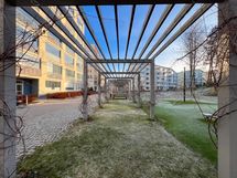 Piha-alue on viihtyisä ja siellä on tekemistä kaiken ikäisille.