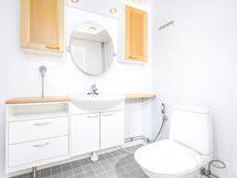 Erillinen wc (remontoitu 2025)