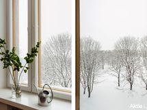 näkymä Kaisaniemen puistoon