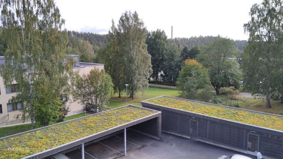 Kohdekuva