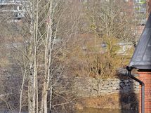 Näkymä koskelle kevättalvella.