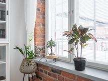 Jykevät ikkunalaudat