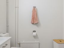 Erillinen wc, jossa on pesukoneliitäntä.