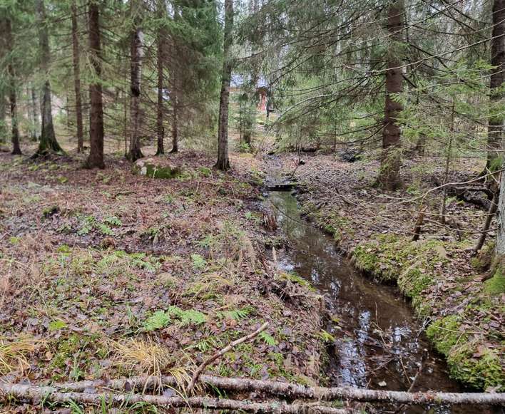 Kohdekuva