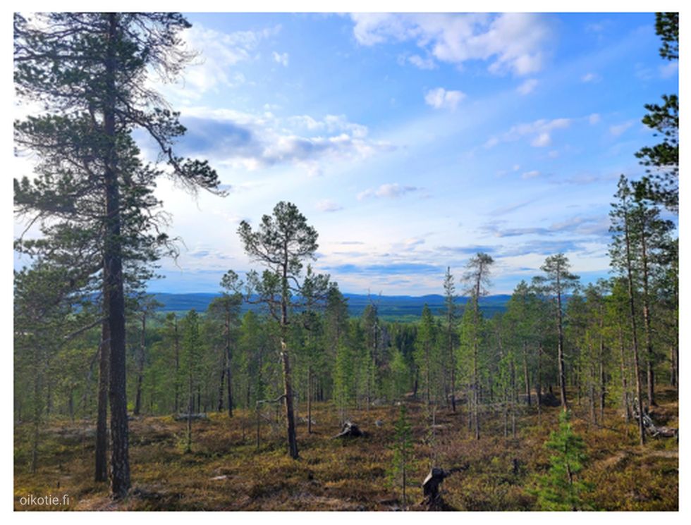 Korkeavaaran suunnasta