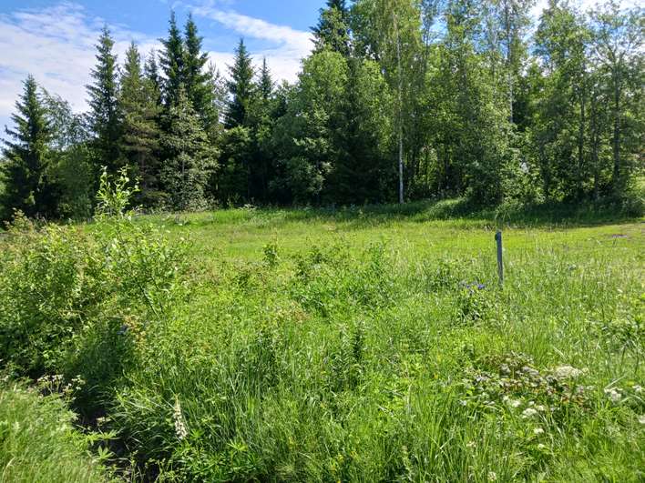 Tontti, 1 513 m², Anjala, Salo