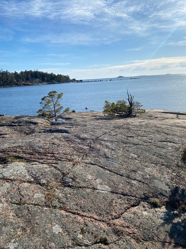 Asuntoilmoituksen kuva