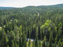 Pudasjärvi, Syöte, Riihikumpu