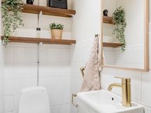erillinen wc
