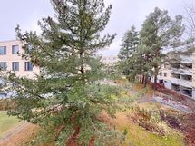 Makuuhuoneen ikkunasta näkymät pihan suuntaan.