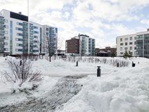 Taloyhtiön rauhallinen sisäpiha