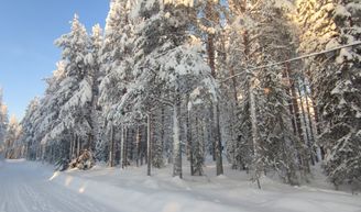 Kohdekuva