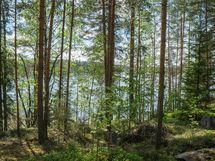 Heinävesi Pilppa Karjalansaari