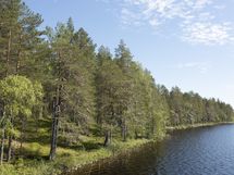 Kuhmo, Iso-Rommakkojärvi, Lautakankaantie