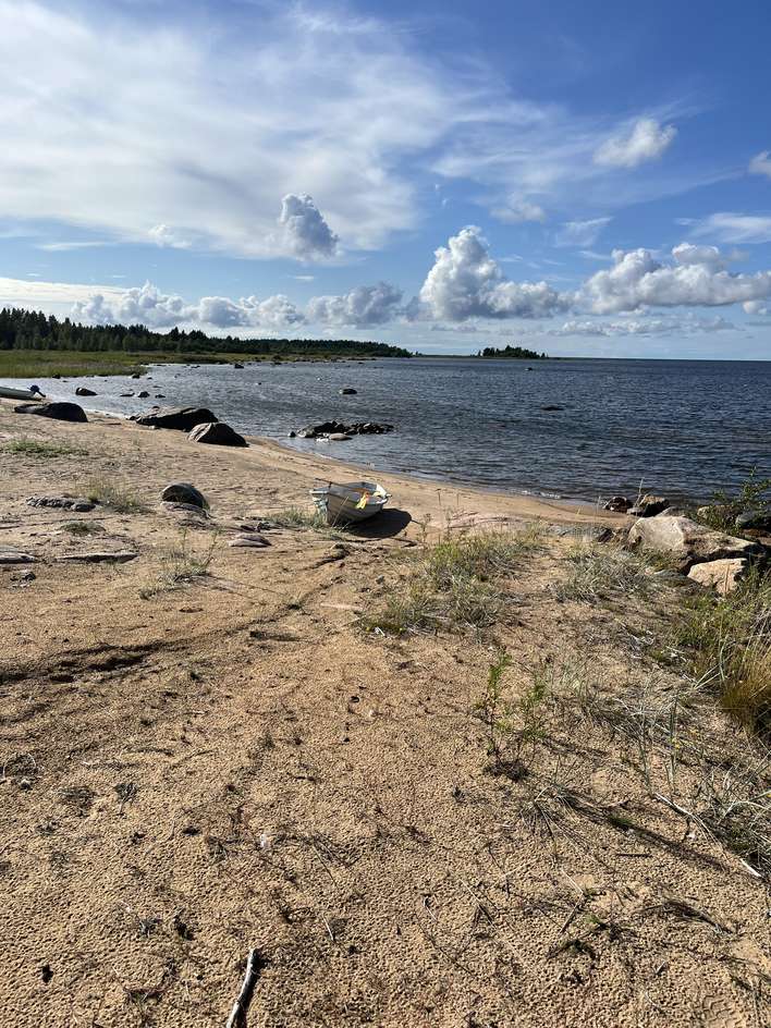 Tontti, 2 914 m², Yppäri - Näkymä 3