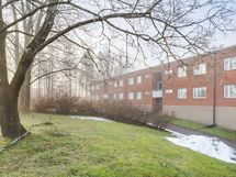 Rauhallinen ja kaunis pihapiiri