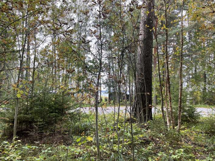 Tontti, 5 700 m², Savonlinna - Näkymä 4