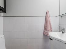 Erillinen wc helpottaa arjen askareita