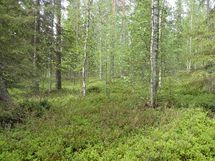 Pello, Miekojärvi, Karhumaan ranta-asemakaava