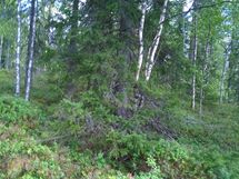 Kuhmo, Juortananjärvi, Vartius, Matinjoentie