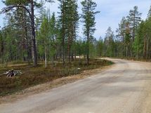 Sodankylä Kakslauttanen