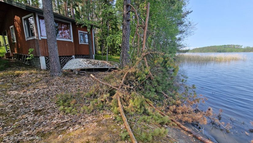 Asuntoilmoituksen kuva