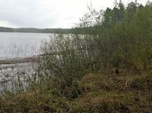 Pihtipudas, Alvajärven ranta- ja kyläosayleiskaava