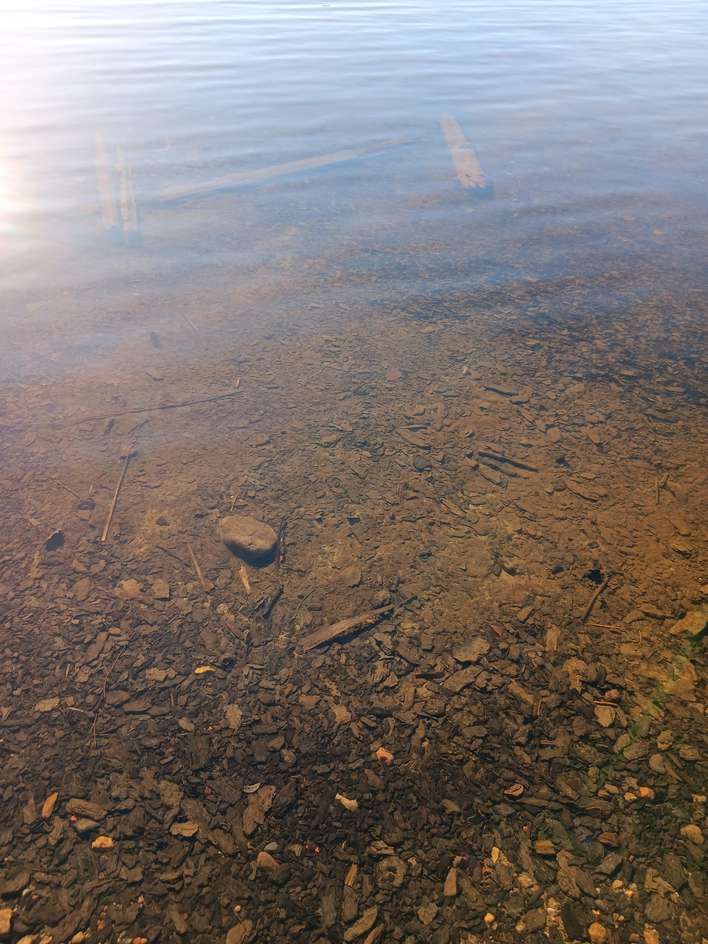 Tontti, 1,30 ha, Löytö - Näkymä 2