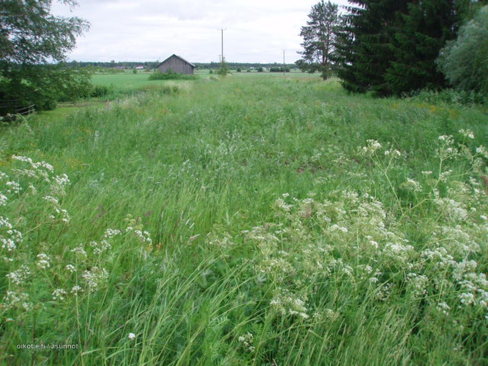 Kohdekuva