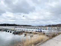 Mahtavat ulkoilumaastot ja meren ranta heti tien toisella puolen.