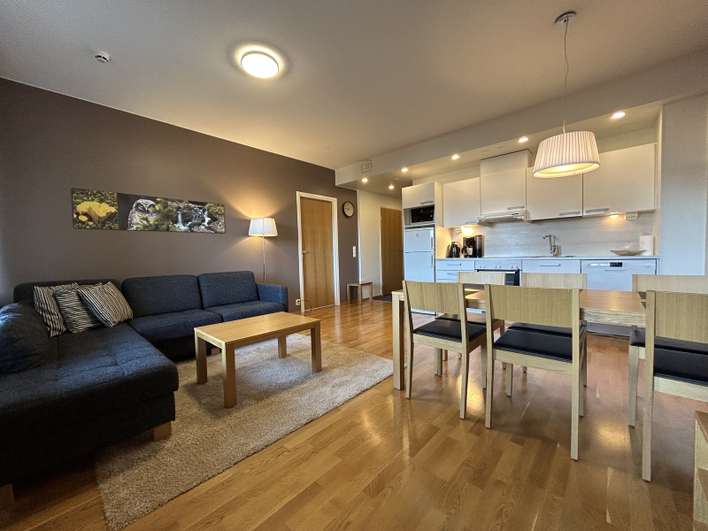 Loma-asunto, 2h+mt+kt+s, 64 m², Ruka, Kuusamo