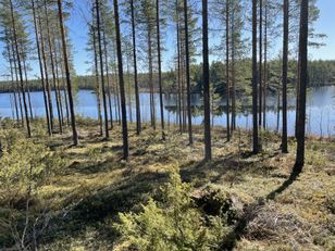 Kohdekuva