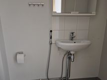 Erillinen wc