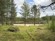 Polku hiekkarannalle