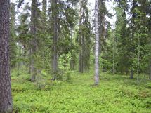 Pello, Miekojärvi-Karhumaa