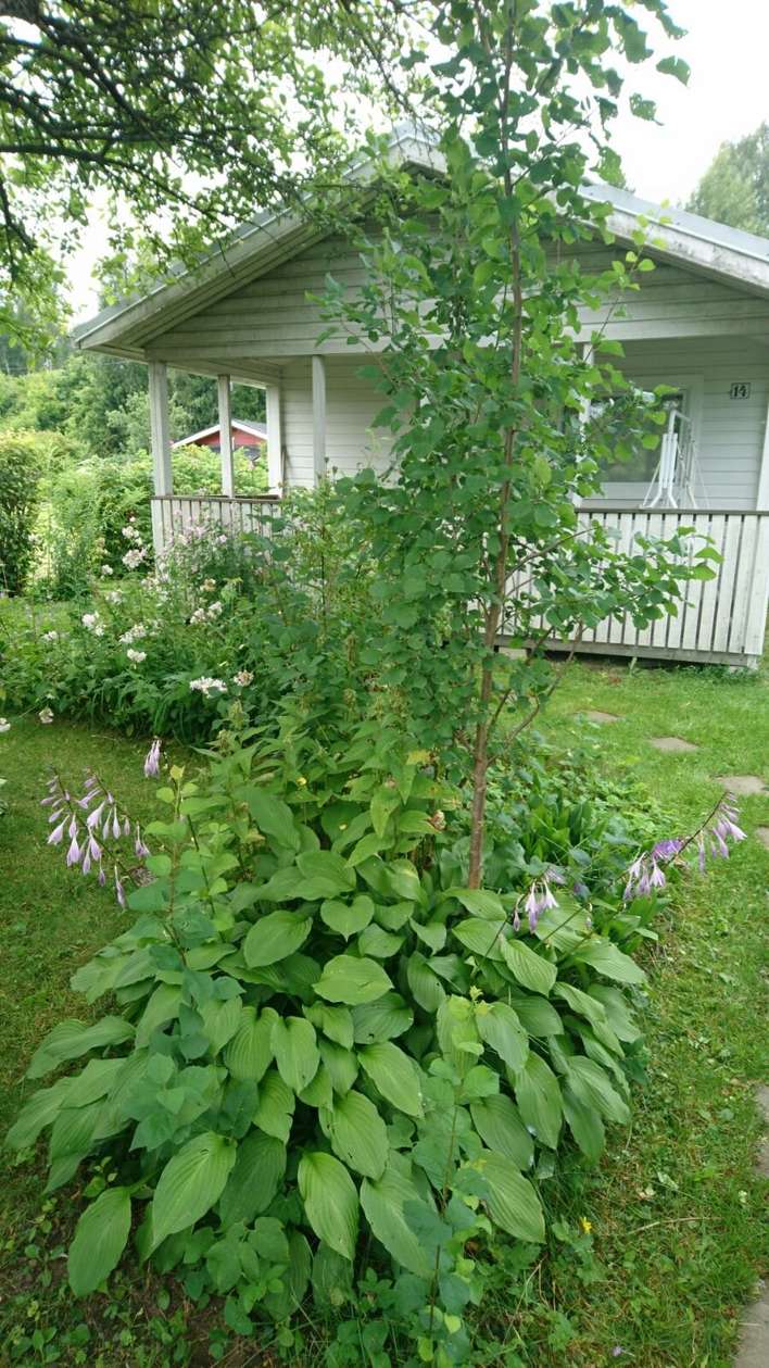 Asunto, 2h + k + s, 24 m², Vantaanlaakso, Vantaa