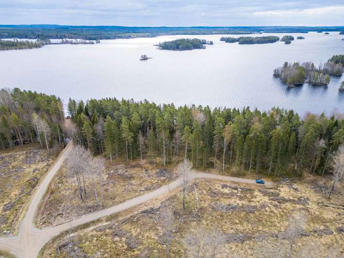 Tontti, 5 940 m², Kolho, Mänttä-Vilppula