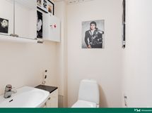 Erillinen wc