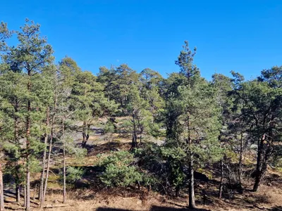 Apartment in Espoo - View 4