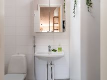 Erillinen wc