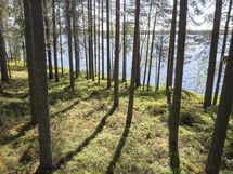 Kuhmo, Iso-Rommakkojärvi, Lautakankaantie